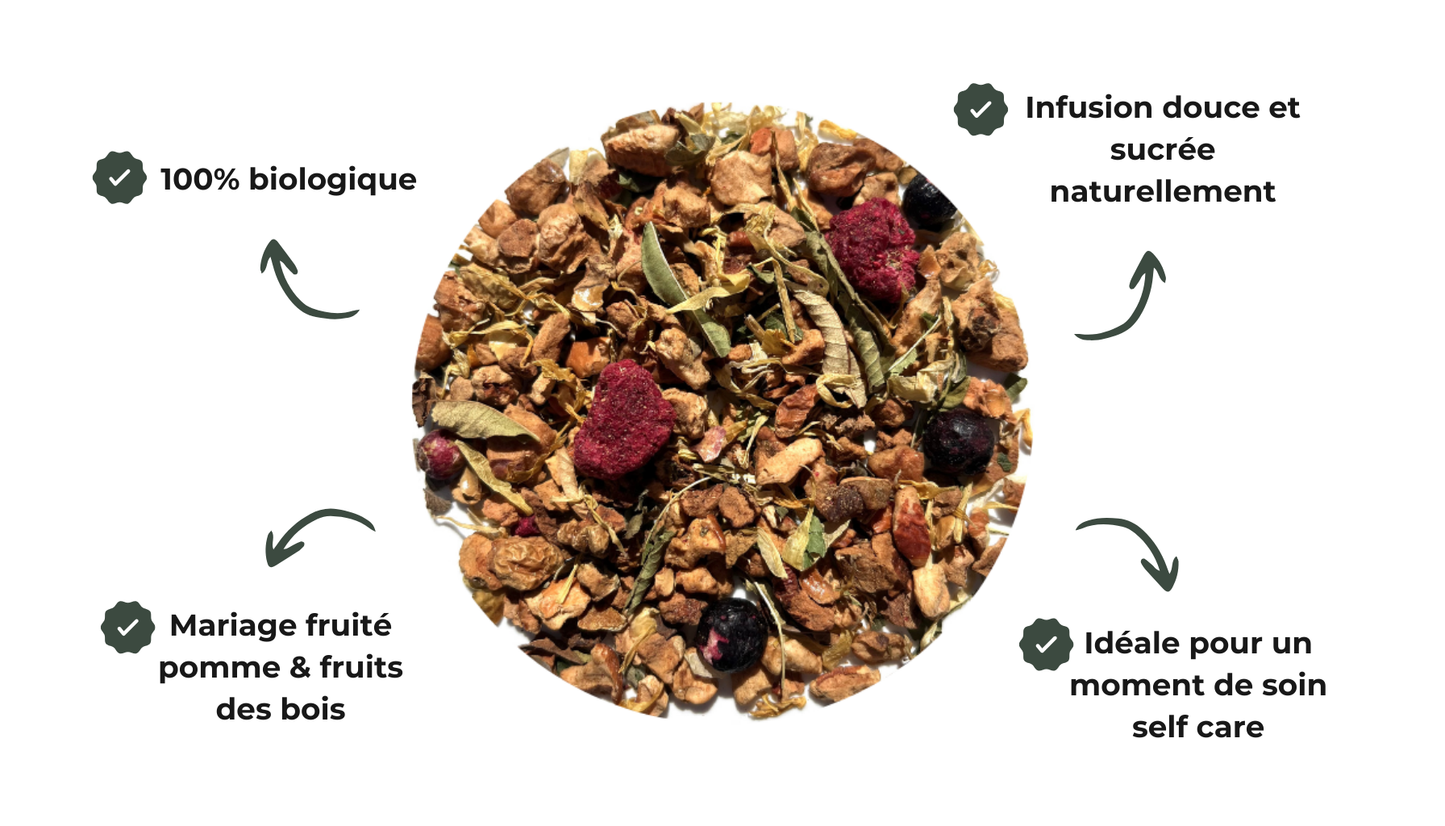 sachets infusion Tisane Enchantée | Rooibos Framboise Pomme Bio